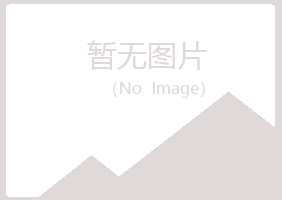 盐池县之桃音乐有限公司